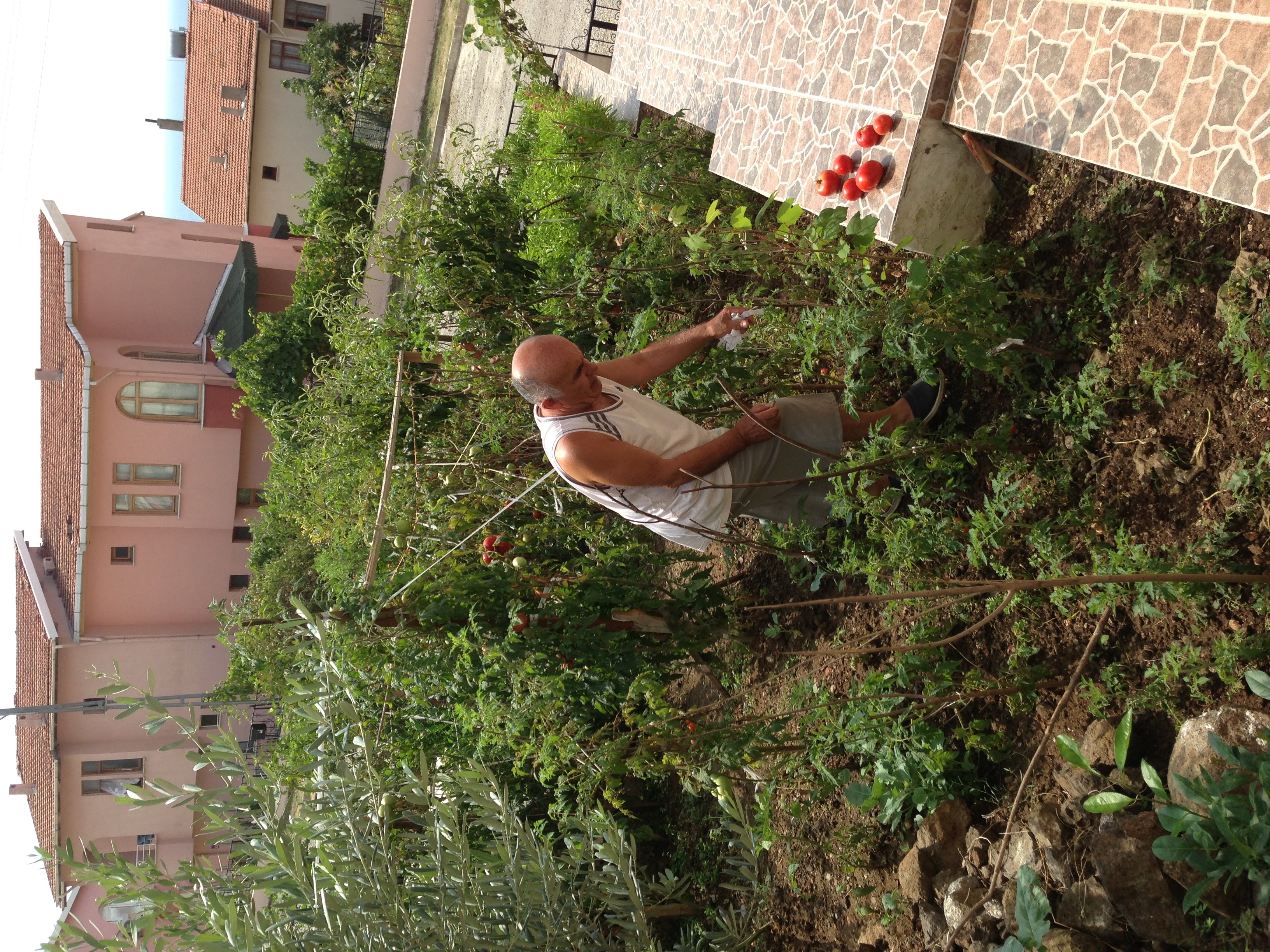 Aile Fotoğraflarımız - Fotoğraf 30